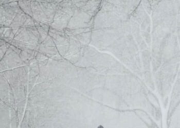 The Day the River Turned Deadly – PJ Media