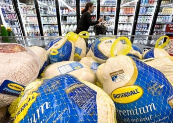 A More Affordable Thanksgiving on the Horizon