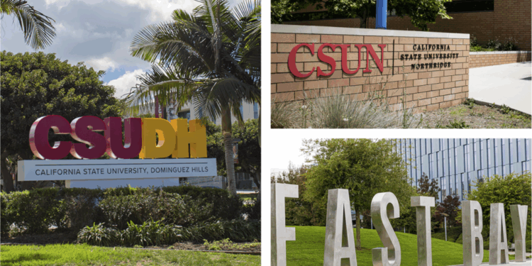 Cal State Schools Require Students To Take DEI Classes To Graduate. Options Include 'Queer Crip Lit' and 'Decolonize Your Diet.'