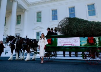 ‘It will be beautiful!’ – One America News Network