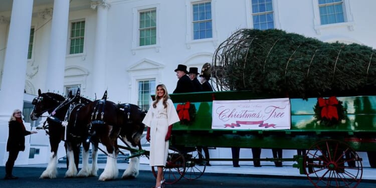 ‘It will be beautiful!’ – One America News Network