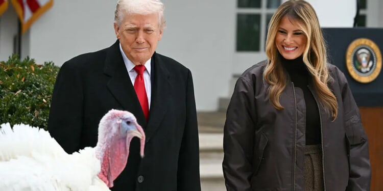 Trump pardons turkeys ‘Gobble’ and ‘Waddle’ in annual Nat’l Thanksgiving Turkey Presentation ceremony – One America News Network