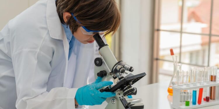 At Least 6 Deaths, 27 Illnesses Reported in Listeria Outbreak Tied to Recalled Pasta Meals