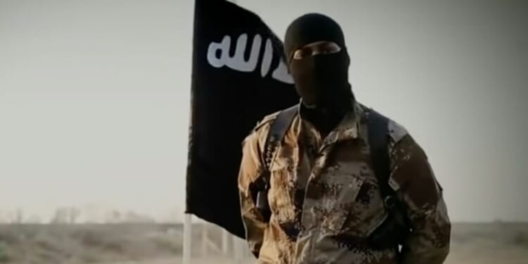 Bring ISIS fighters to Britain? The Blob has lost the plot