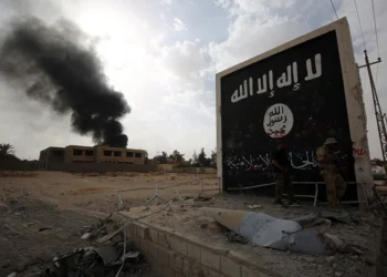 Iraqi fighters of the Hashed al-Shaabi (Popular Mobilisation units) stand next to a wall bearing the Islamic State (IS) group flag as they enter the city of al-Qaim, in Iraq