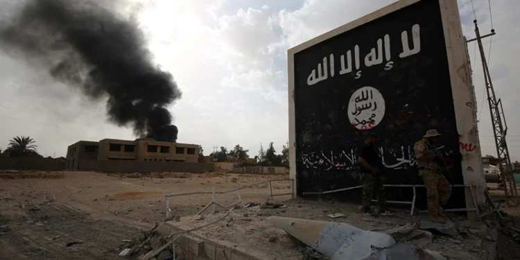 Iraqi fighters of the Hashed al-Shaabi (Popular Mobilisation units) stand next to a wall bearing the Islamic State (IS) group flag as they enter the city of al-Qaim, in Iraq