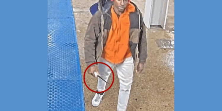 Chicago Police search for suspect in unprovoked stabbing of 27-year-old woman – One America News Network