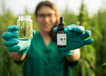 CBD hemp