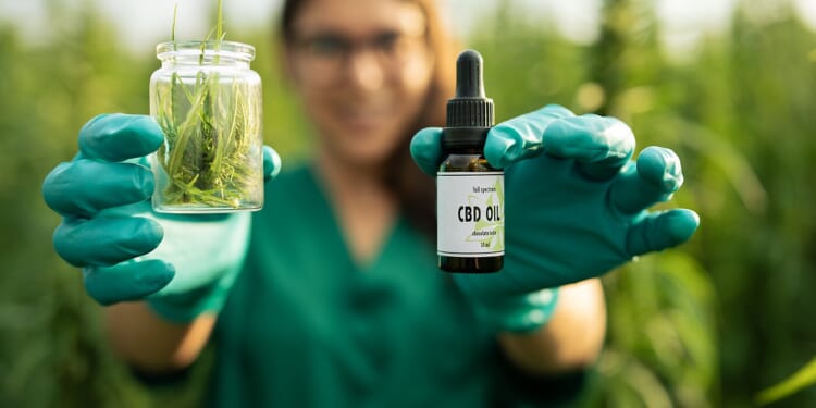 CBD hemp