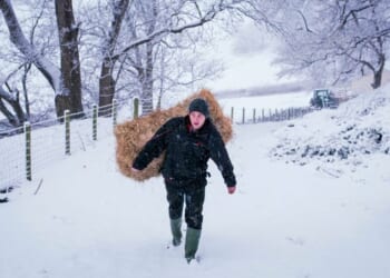 Could Britain survive a food shortage?