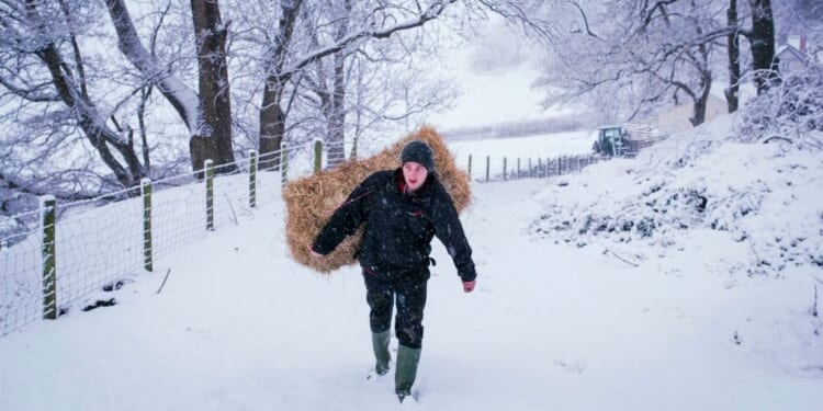 Could Britain survive a food shortage?
