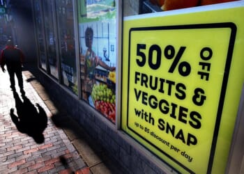 Dead on the Rolls, Double on the Dole: Inside the SNAP Crackdown