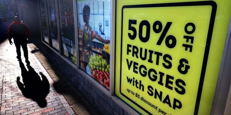 Dead on the Rolls, Double on the Dole: Inside the SNAP Crackdown