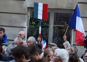 Democracy vs Elites: Fractured France and Irish Spoilers