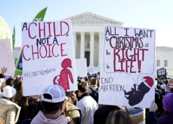 Exposing the Devouring Mother' by Leslie Corbly – PJ Media