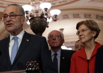 For Dem Senators, the First Rule of 'Fight Club' Is Fighting Chuck Schumer