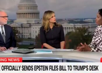 Del. Stacey Plaskett gave an uncompelling explanation on Nov. 19, 2025, for her 2019 text exchanges with Jeffrey Epstein.