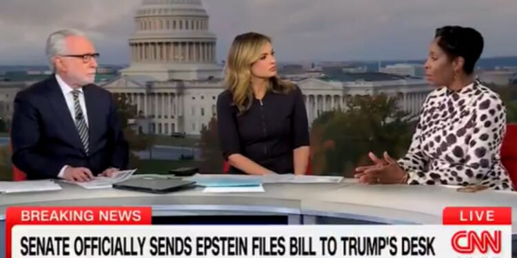 Del. Stacey Plaskett gave an uncompelling explanation on Nov. 19, 2025, for her 2019 text exchanges with Jeffrey Epstein.