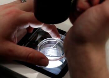 A lab staff member analyzes embryos at the Aspire Houston Fertility Institute on Feb. 27, 2024 in Houston.