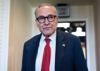 Is Chuck Schumer Ready for Democrat Wargames?