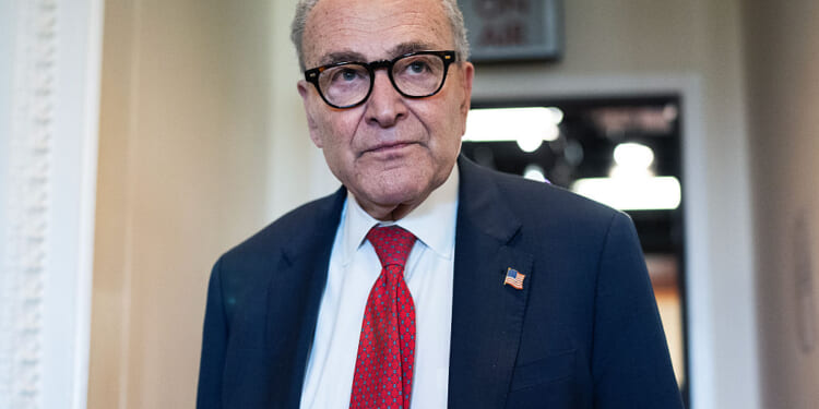 Is Chuck Schumer Ready for Democrat Wargames?