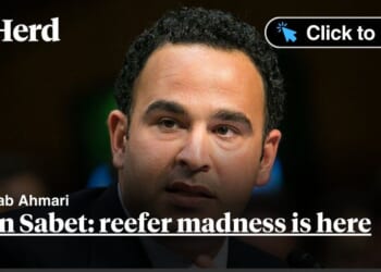 Kevin Sabet: reefer madness is here