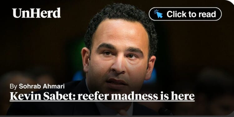 Kevin Sabet: reefer madness is here