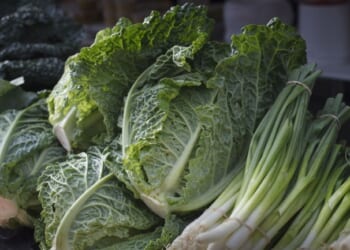 Local NC Farm Steps Up Amid Schumer Shutdown – PJ Media