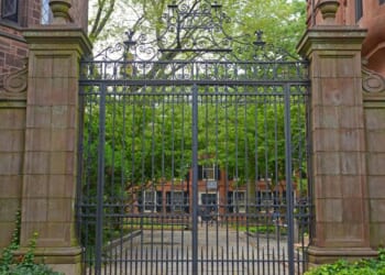 Neither God nor Man At Yale