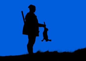 Northern Ireland’s last huntsmen - UnHerd