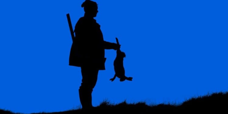 Northern Ireland’s last huntsmen - UnHerd