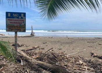 Petro Probably Most Hurt) – PJ Media