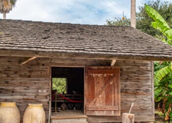 Plantation Ledgers and the Illusion of Capitalist Rationality