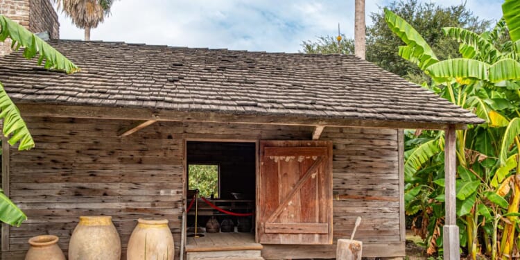 Plantation Ledgers and the Illusion of Capitalist Rationality