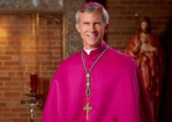 Popular Bishop Scolds Pope Leo, Other Bishops for Turning Blind Eye to Issues Scandalizing the Faithful – PJ Media