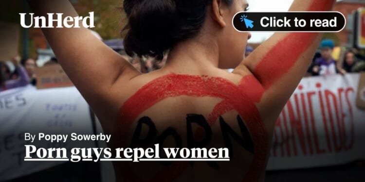 Porn guys repel women - UnHerd