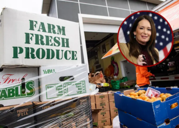 Workers for La Colaborativa load fresh food into a food delivery truck for delivery at a public housing area later in the day in Chelsea, Massachusetts on November 13, 2025, during a free food distribution for Supplemental Nutrition Assistance Program (SNAP) recipients. The mobile pantry services the vulnerable population of the city and those who can