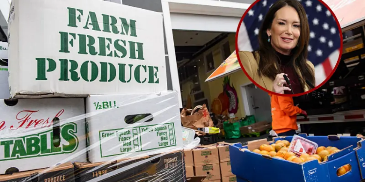Workers for La Colaborativa load fresh food into a food delivery truck for delivery at a public housing area later in the day in Chelsea, Massachusetts on November 13, 2025, during a free food distribution for Supplemental Nutrition Assistance Program (SNAP) recipients. The mobile pantry services the vulnerable population of the city and those who can
