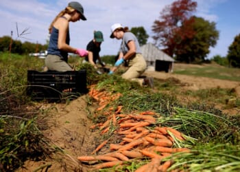 Thanking Farmers on Thanksgiving Day
