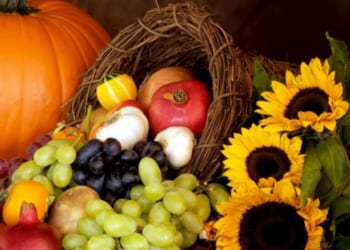 Thanksgiving Is a Celebration of Free Enterprise