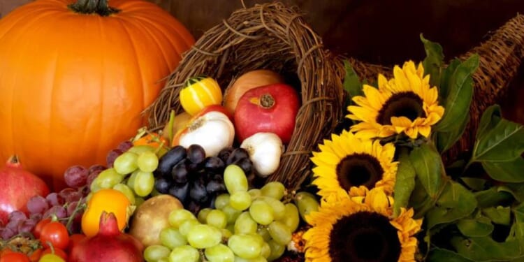 Thanksgiving Is a Celebration of Free Enterprise