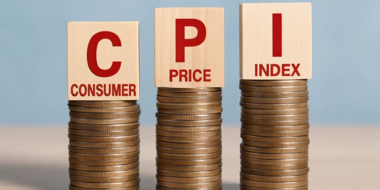 The CPI as Evidence of Methodological Error