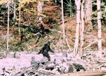 The Hunters Have a Point – PJ Media