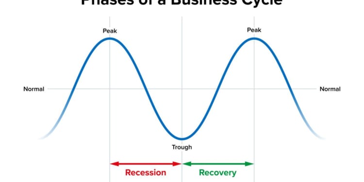 The NBER Framework to Asses Business Cycles Describes but Does not Explain Them