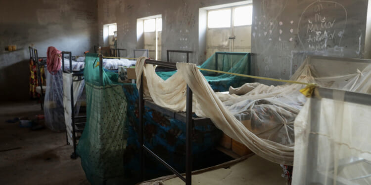 'They're Killing the Christians': Trump Demands Nigeria End Atrocities, Hundreds of Kids Hostage