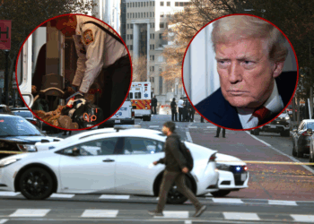 Trump issues statement following D.C. Nat’l Guardsmen shooting – One America News Network