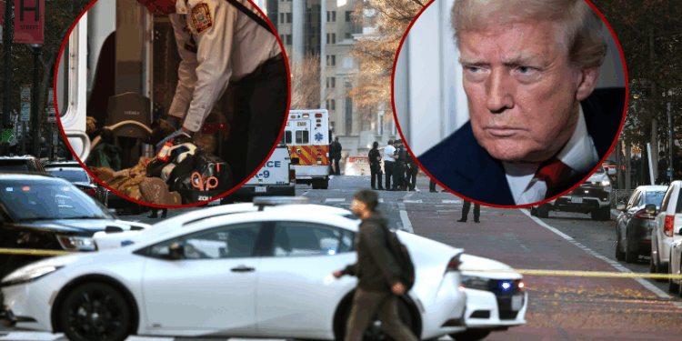 Trump issues statement following D.C. Nat’l Guardsmen shooting – One America News Network