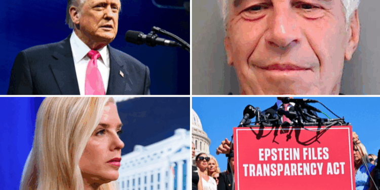 Trump signs the Epstein Files Transparency Act into law – One America News Network