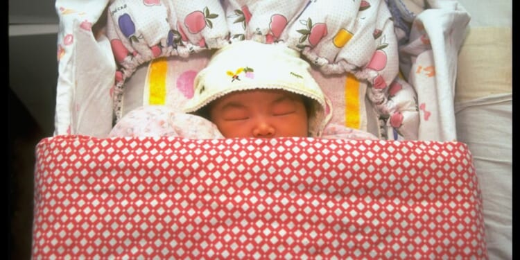 When an adopted baby is born an addict