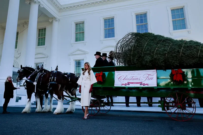 WASHINGTON, DC - NOVEMBER 24: First lady Melania Trump welcomes the official 2025 White House Christmas Tree outside the North Portico of the White House on November 24, 2025 in Washington, DC. Named the National Christmas Tree Association’s 2025 Grand Champions, Rex and Jessica Korson, of Korson’s Tree Farms, grew the tree on their second-generation evergreen farm in Sidney, Michigan. (Photo by Heather Diehl/Getty Images)